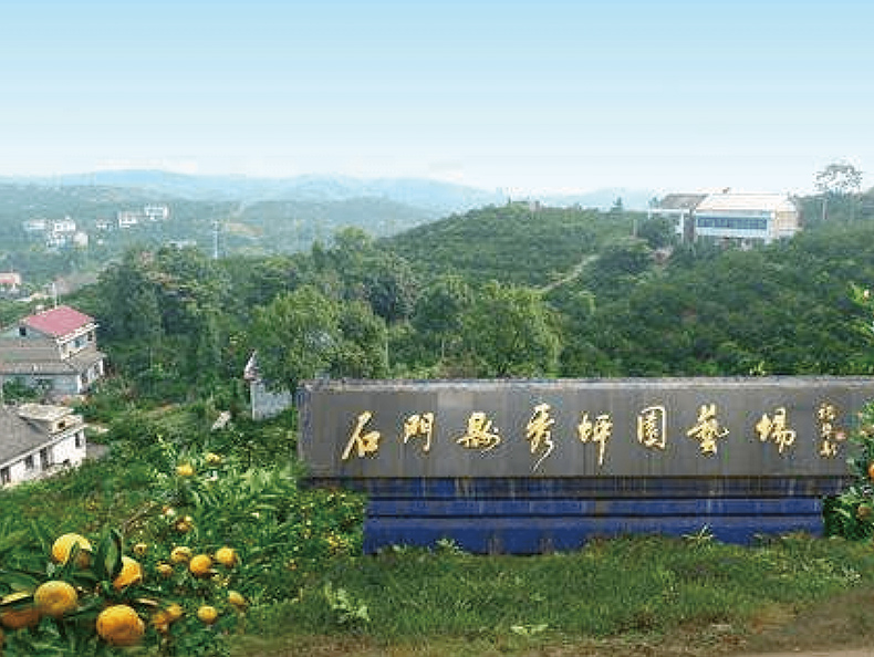 《石门县秀坪园艺场乡村旅游规划》