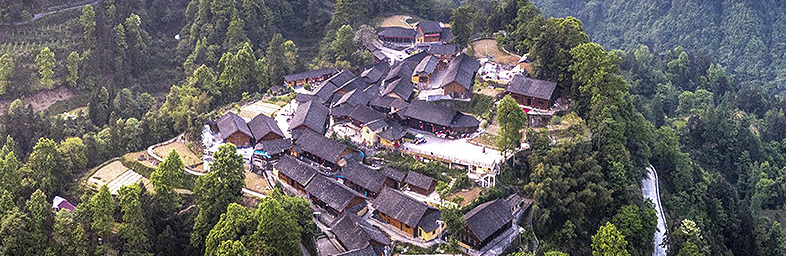 乡村振兴 乡村振兴