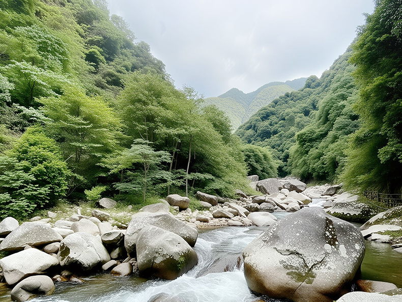 《湖南炎陵桃源洞国家级自然保护区生态旅游总体规划（2013-2030年）》