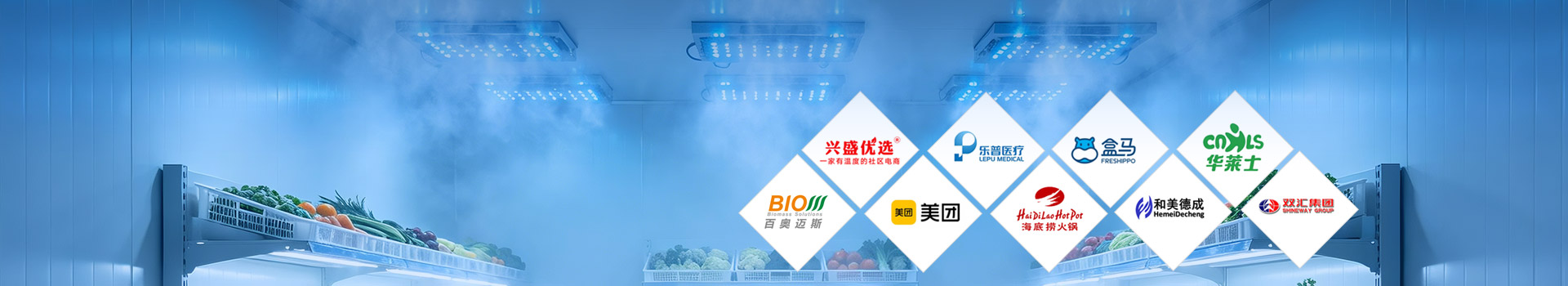 工程案例