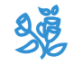 西医手术