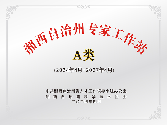 2024年获批A类专家工作站