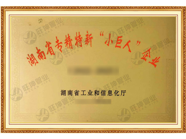 专精特新小巨人企业