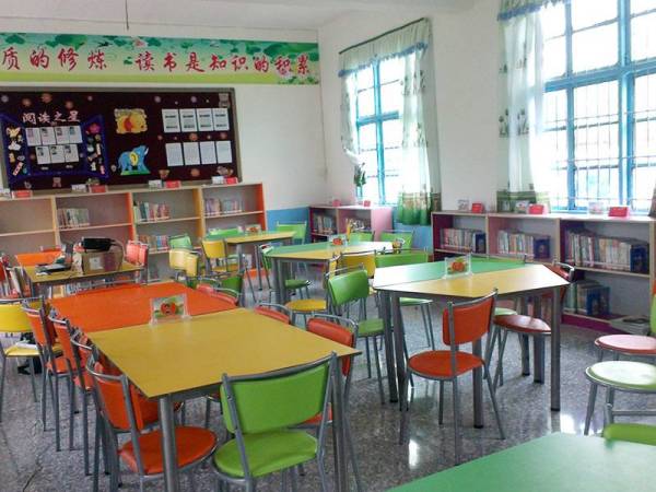 娄底市双峰县杏子铺镇大丰学校