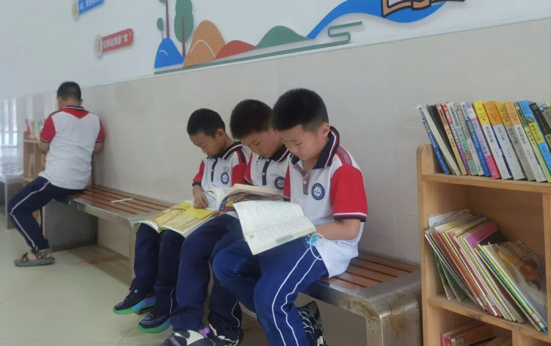 教师专栏  |  从角落到书廊——感受阅读的力量